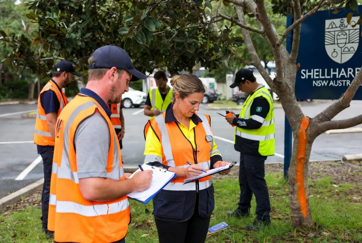 Dangerous & Difficult Tree Removal